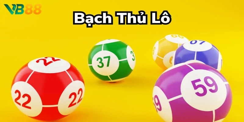 Nuôi bạch thủ lô dựa vào cầu lô đơn giản, hiệu quả