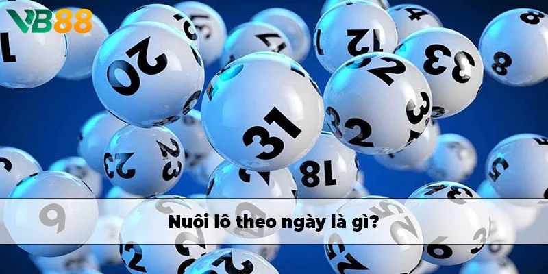 Nuôi lô theo ngày là gì?